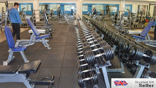 GYM-SAFE Best Rubber Safety Weight lifting Gymnasium Equipment Tiles Mats